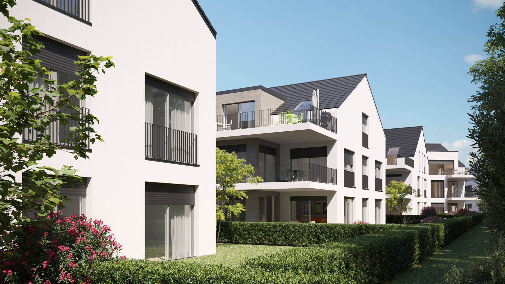 3D rendering οικιστικό έργο Erfurt – Salinenstraße – gmsvision