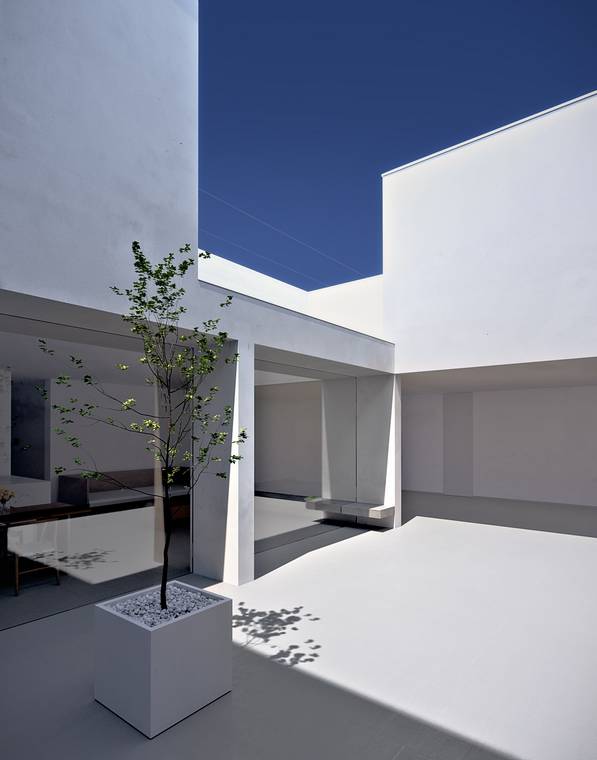 εσωτερική αυλή του White Cave House με δέντρο και μινιμαλιστική αρχιτεκτονική